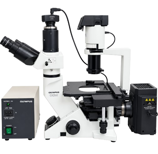 Fluorescent Phase Contrast Inverted Microscope