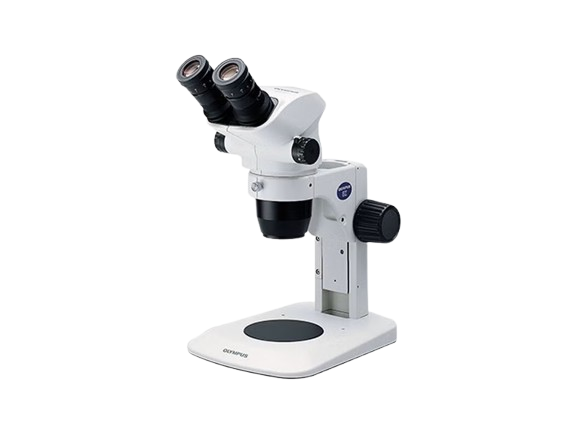 Stereomicroscope