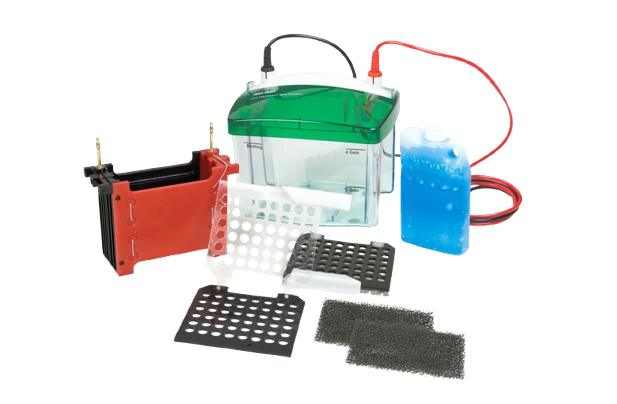Western Blot Apparatus